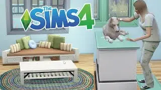 APRIAMO LA CLINICA VETERINARIA! 🐾 THE SIMS 4 - Ep. 43