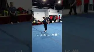 Punching and Kicking the Stress Away #wushu #shorts #martialarts #kungfu #handform