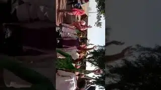 Sammewali holi 2020