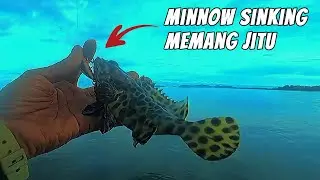 Mancing Casting Kerapu Di Pantai Karang Dangkal | Minnow Sinking | UL Fishing Pinggiran