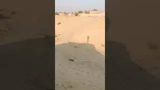 Nature Vibes village life Capture today | village Desert #funny #comedy #moment #naturelivestream