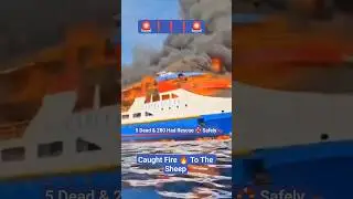 🔥 Caught Fire To Sheep in Indonesia west  🔥 #fire #life #facts #shorts