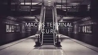 macOS Terminal - curl