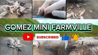 Daily vlog Ep 0034 Pag gawa ng Gate s bakod/Gomez Mini FarmVille 
