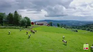 Nyt Norge | Gode grunner | Melkerobot