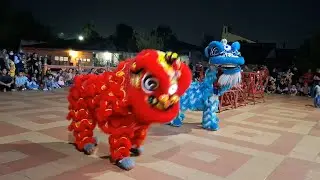Detik detik Barongsai Terjatuh‼️Perayaan CAP GO MEH Kelenteng HOK TIK BIO Blora