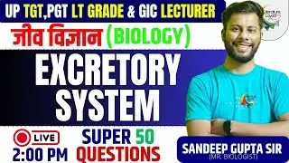 UP TGT PGT LT GRADE GIC प्रवक्ता Biology | Excretory System (उत्सर्जन तंत्र) | Sandeep Gupta Sir