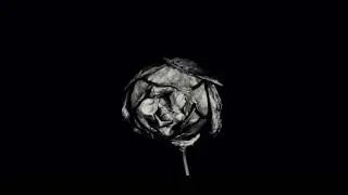 death in june torture by roses subtitulada