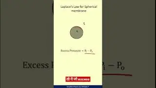 Laplace's Law for Bubbles & Drops | Fluid Mechanics | Physics Board