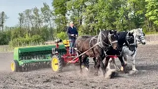 Drilling Oats with Our Draft Horses and John Deere Grain Drill!