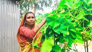 বা‌ড়ির গা‌ছের টাটকা লাউশাক দি‌য়ে আলু এবং শুট‌কির ঝোল সা‌থে ডিম ভূনা