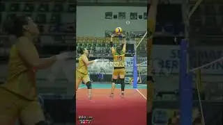 Voli | Cantik nya minta ampun!