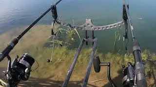 Rubrica del Carpista in Bip Bip domanda???