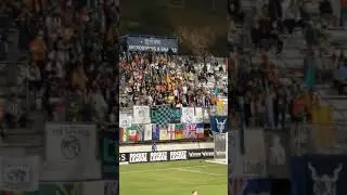 SD Loyal C