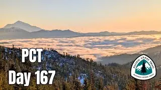 День 167 послеоперационного курса | Я уже устал от этого похода!! 🙄