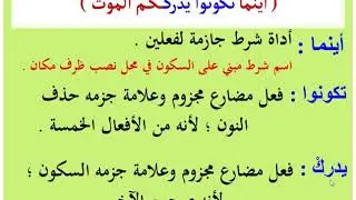 شرح النحو من الابتدائية للثانوية .. الحلقة (12)
