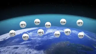 Scientists around the world have declared a climate emergency