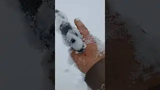cold and snow durability test, it's a damn great pistol the czp09 duty pistol
