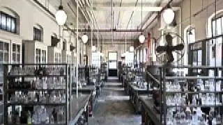 THOMAS EDISON's CRIB