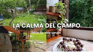 Vida simple en el monte. Arreglos en el jardín