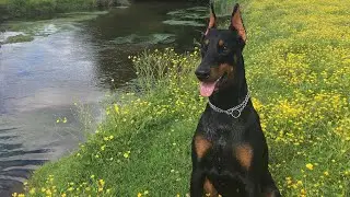 A beautiful day