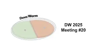 DevoWorm (2025, #20): Challenges in Education, Dev. Connectome datasets, Connectomes amd Behavior