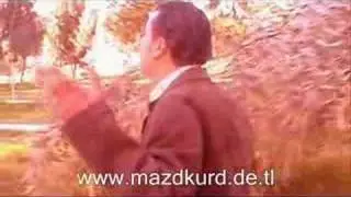 Rênas - Silnebe