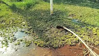 natural 🤔😶&zwj;🌫️ #nature #duet #naturaldisaster2025 #africa #usa #india 