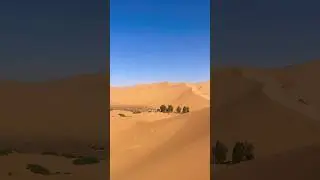Breathtaking View of the Sahara Desert 🏜️ 🌵 | Vast Dunes and Golden Sands | Merzouga | Part 7|🇲🇦