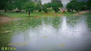 Chumarkhand lake nowadays | summer view of shahi bagh Chumarkhand lake @GBIAN
