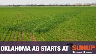 Wheat Update (9/18/21)