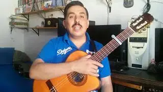 Tutoriales de Requinto 