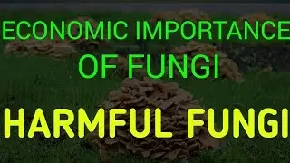 Harmful fungi - Plant Disease, Animal Disease, Human Disease, Toxic Fungi, LSD |