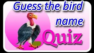 பறவைகள் பெயர் விளையாட்டு |birds name quiz challenge for kids | Tamil learning fun