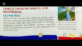 Periodicity of Properties/Reactions of Sodium and Magnesium/New Syllabus 2025/class 11