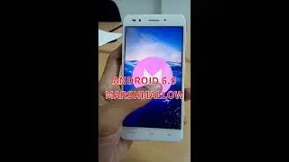 LAVA IRIS 870