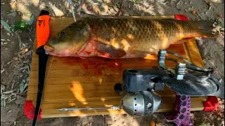 Carp Fishing 2023 Slingshot Fishing Catch and Cook River Carp