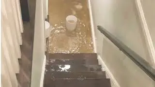 Basement Flood Cleanup San Diego