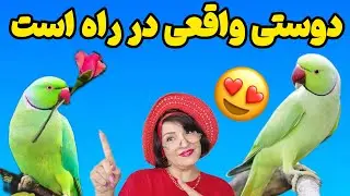ولاگ دوستی بلفی و فیدل | از دشمنی تا رفاقت( پارت ۴ )