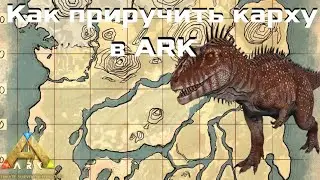 Как приручить кархародонтозавра в соло без ловушки | ARK: ultimate mobile edition