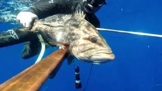 25 Shots - Spearfishing - Babis Plastourgos