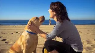 Cooper's favorite food: Tender & True