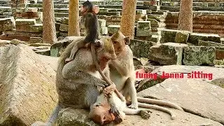 Great & lovely family Jane, Janet tries milking mom & Janna is so funny sitting on head mom.