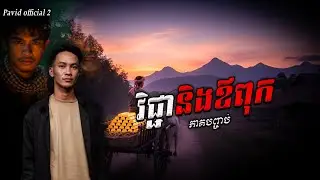 Pavid official 2 | វិជ្ជា ចប់