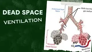 DEAD SPACE VENTILATION