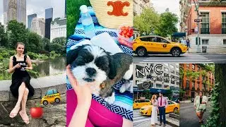 NYC Photography trip, organize my studio, gallery tool every photographer NEEDS, backyard update!