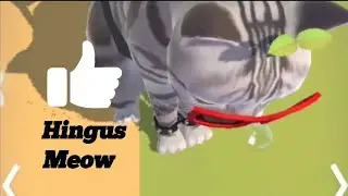 Hingus Si Bulus Belang Meow