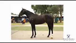 Lot 220 Written By x She Thinks So