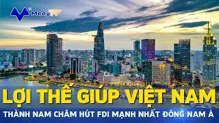 LỢI THẾ GI&Uacute;P VIỆT NAM TH&Agrave;NH 