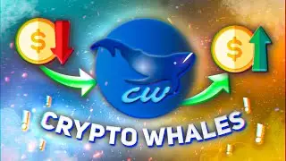 Бесплатное крипто сообщество трейдеров &mdash; Crypto Whales!